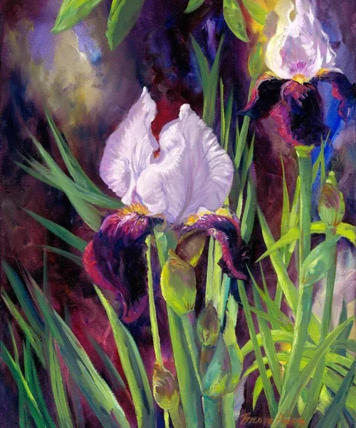 Floral painting ‘Kentucky Iris 1’ by Brenda Harris, showcasing elegant purple iris blooms with green foliage against a subtle background